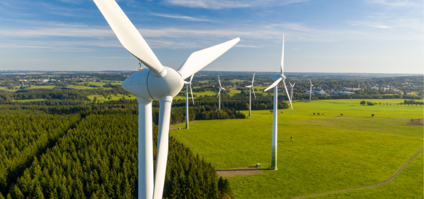 Foto zonnepanelen (2)