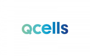 q cells